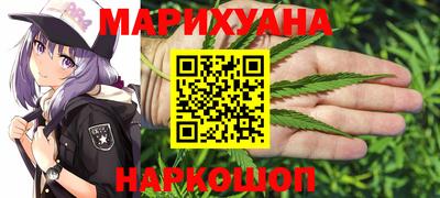 мдпв Новозыбков