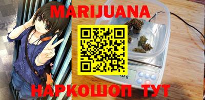 мдпв Новозыбков
