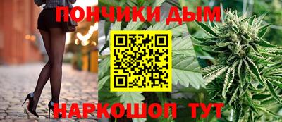 мдпв Новозыбков