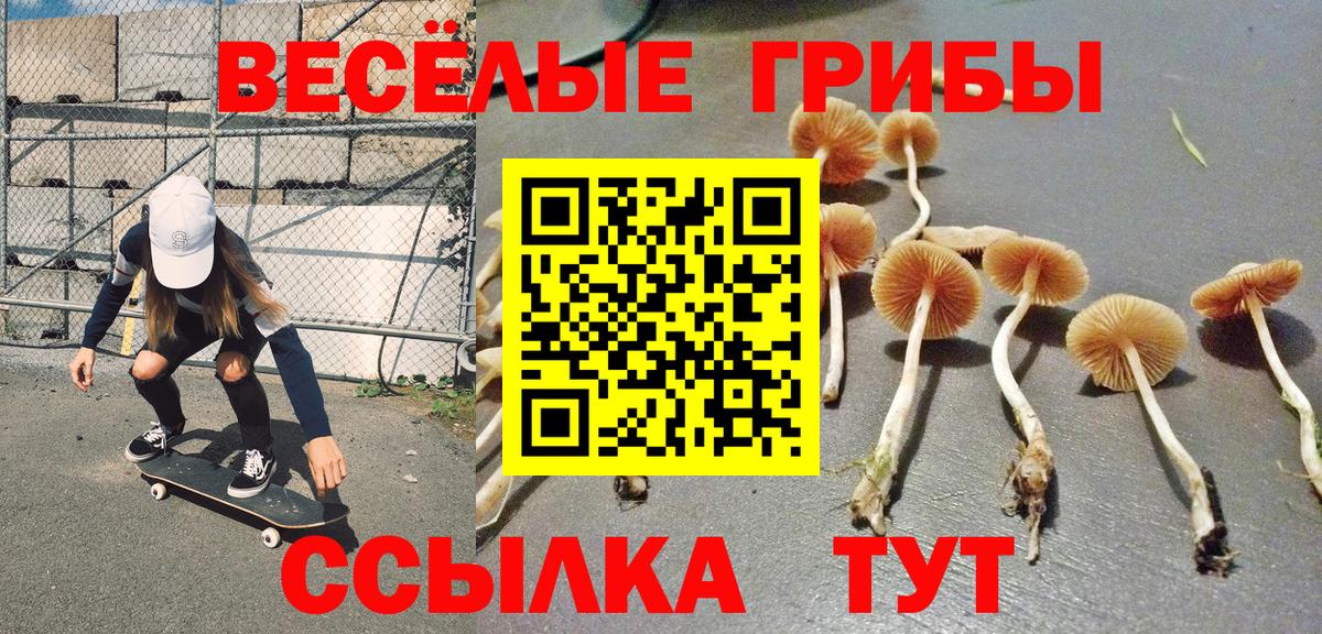 Псилоцибиновые грибы Psilocybine cubensis Сатка
